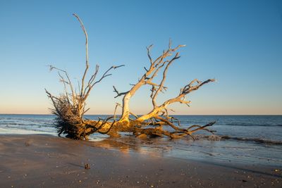 Botany Bay_065-HDR.jpg