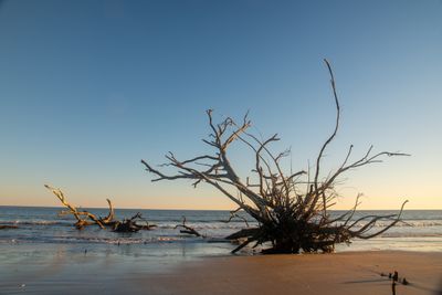 Botany Bay_071-HDR.jpg