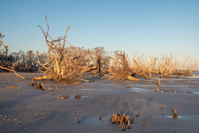 Botany Bay_094-HDR.jpg