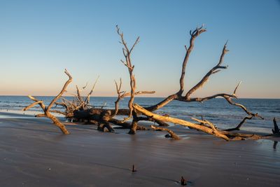 Botany Bay_097-HDR.jpg