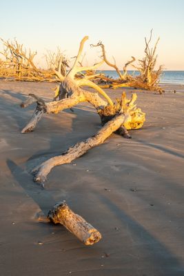 Botany Bay_103-HDR.jpg