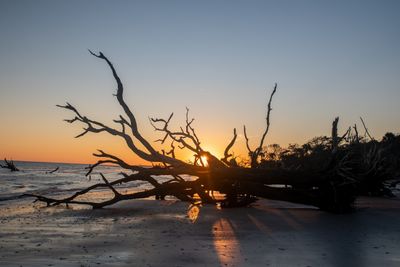Botany Bay_135-HDR.jpg