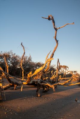 Botany Bay_112-HDR.jpg