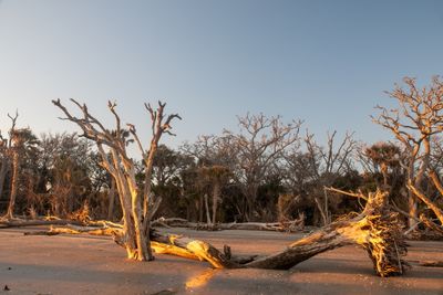 Botany Bay_115-HDR.jpg