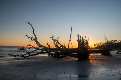Botany Bay_129-HDR.jpg