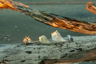 Botany Bay_143.jpg