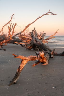 Botany Bay_145-HDR.jpg