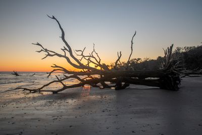 Botany Bay_148-HDR.jpg