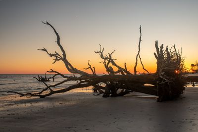 Botany Bay_159-HDR.jpg