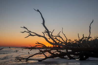 Botany Bay_169-HDR.jpg