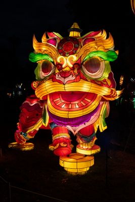 Lantern Festival 2024-14.jpg