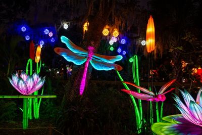Lantern Festival 2024-18.jpg