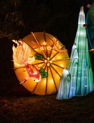 Lantern Festival 2024-19.jpg