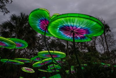 Lantern Festival 2024-2.jpg