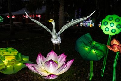 Lantern Festival 2024-3.jpg
