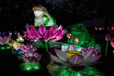 Lantern Festival 2024-6.jpg