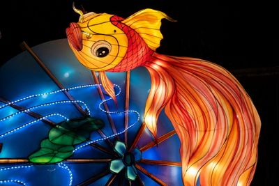 Lantern Festival 2024-21.jpg