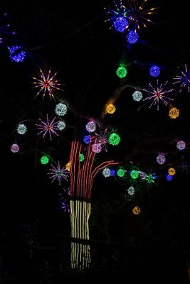 Lantern Festival 2024-24.jpg