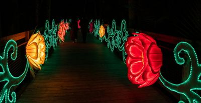 Lantern Festival 2024-30.jpg