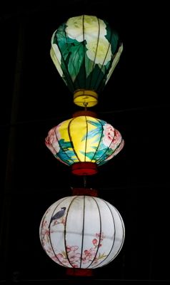Lantern Festival 2024-34.jpg