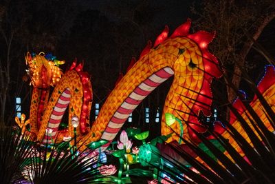 Lantern Festival 2024-36.jpg