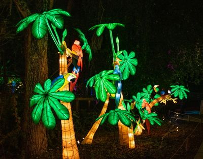 Lantern Festival 2024-45.jpg