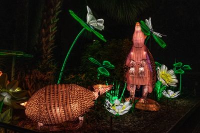 Lantern Festival 2024-47.jpg