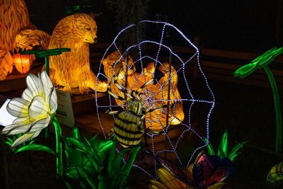 Lantern Festival 2024-50.jpg