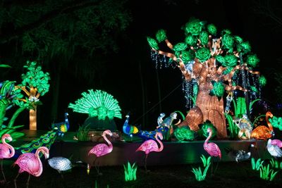 Lantern Festival 2024-57.jpg