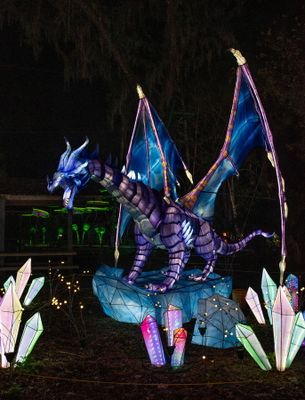 Lantern Festival 2024-61.jpg