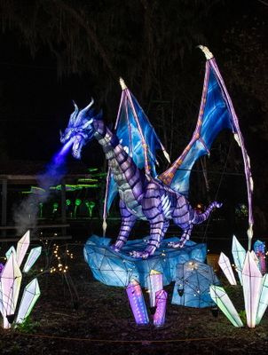 Lantern Festival 2024