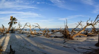 Hunting Island_005-Pano.jpg