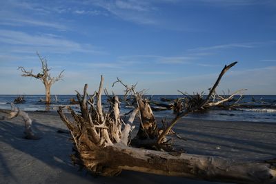 Hunting Island_011.jpg