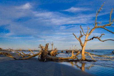 Hunting Island_017-HDR.jpg