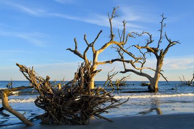 Hunting Island_023.jpg