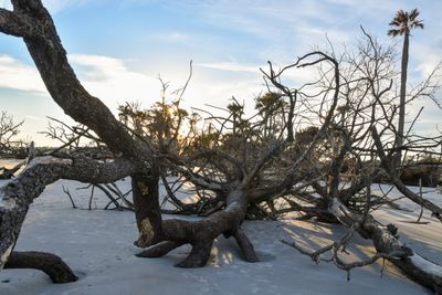 Hunting Island_029.jpg