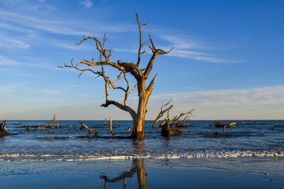 Hunting Island_044.jpg