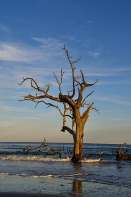 Hunting Island_059.jpg