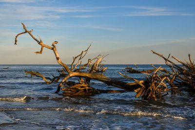 Hunting Island_068.jpg