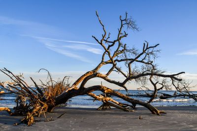 Hunting Island_077.jpg