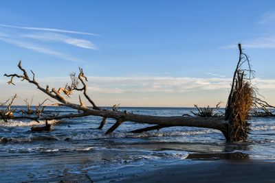 Hunting Island_080.jpg