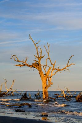 Hunting Island_095.jpg