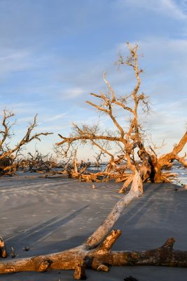 Hunting Island_101.jpg