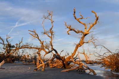 Hunting Island_104.jpg