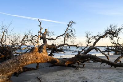Hunting Island_107.jpg