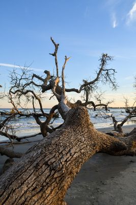 Hunting Island_110.jpg
