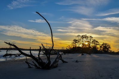Hunting Island_113.jpg