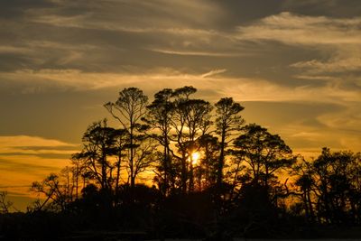 Hunting Island_117.jpg