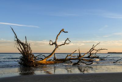 Hunting Island_122.jpg