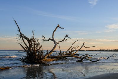 Hunting Island_131.jpg